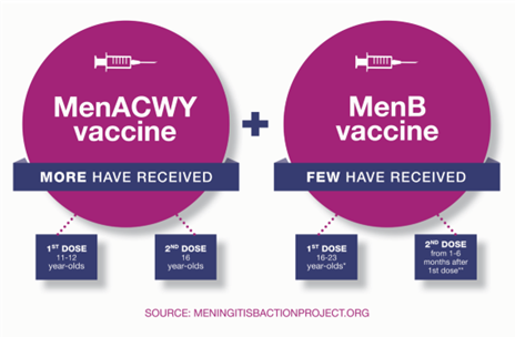 Meningococcal Infographic