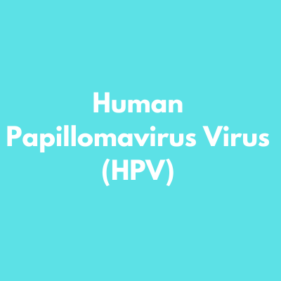 Human Papillomavirus (HPV)