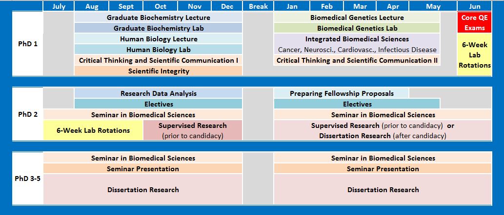 PhD Curriculum