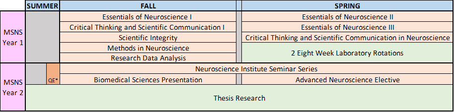 MSNS Course Curriculum Chart