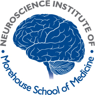 NSI Logo