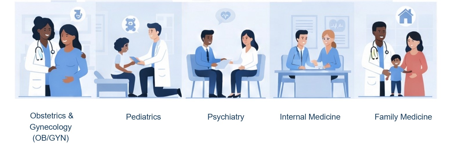 Clinical Rotations